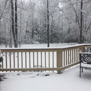 Meet your Posher, Cheri